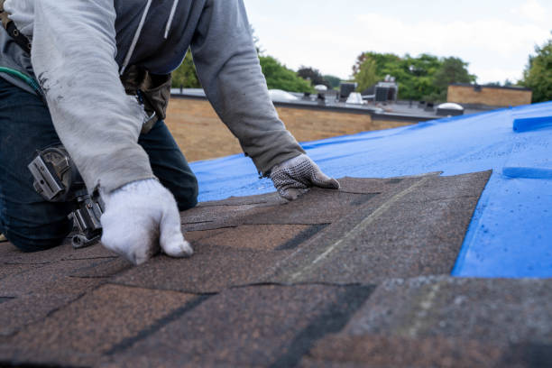 Best Green or Eco-Friendly Roofing Solutions  in Madisonville, KY